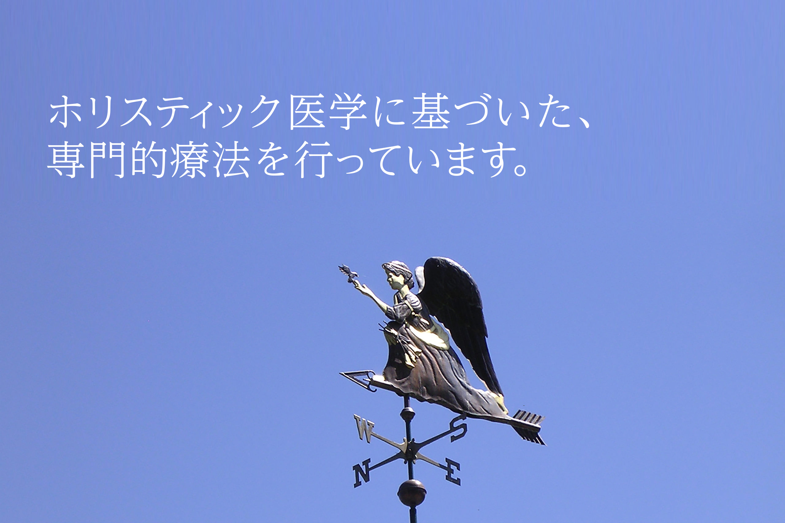 ホリスティック医学に基づいた、専門的療法を行っています