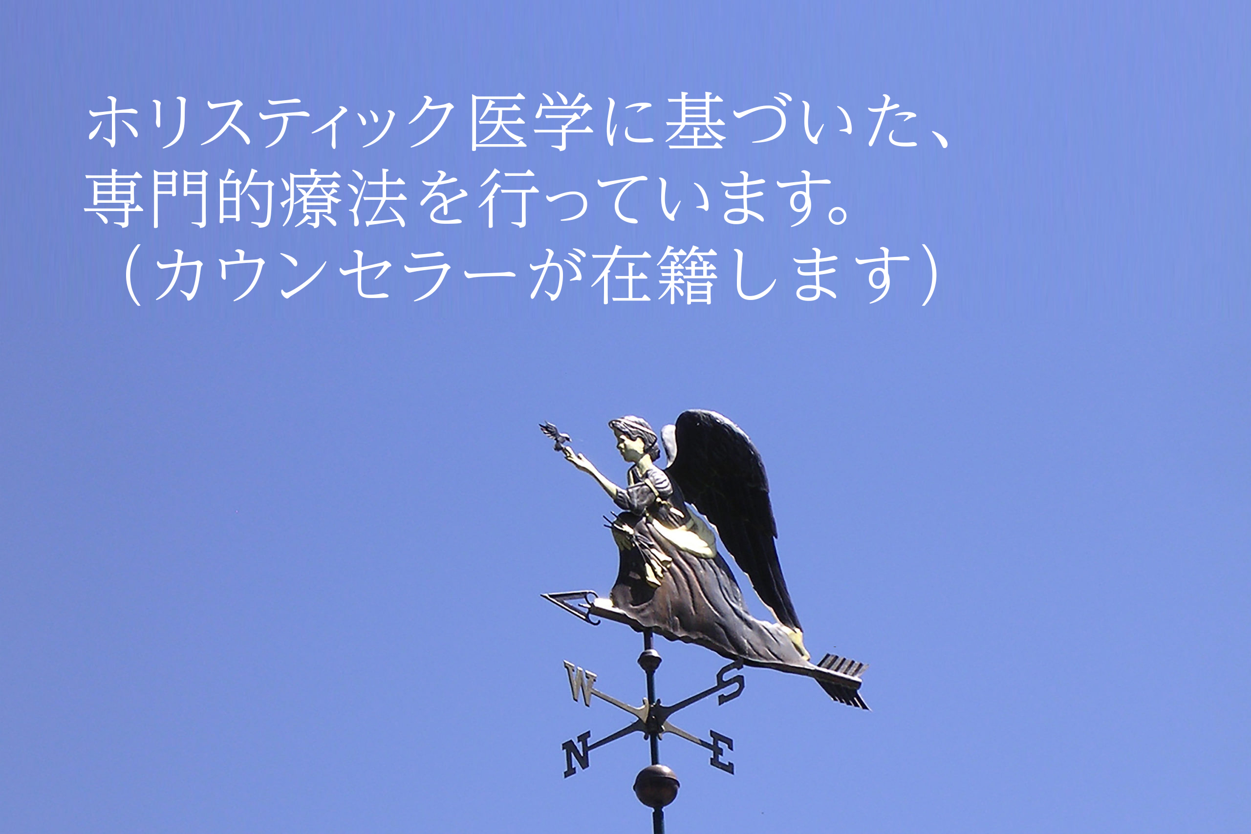 ホリスティック医学に基づいた、専門的療法を行っています