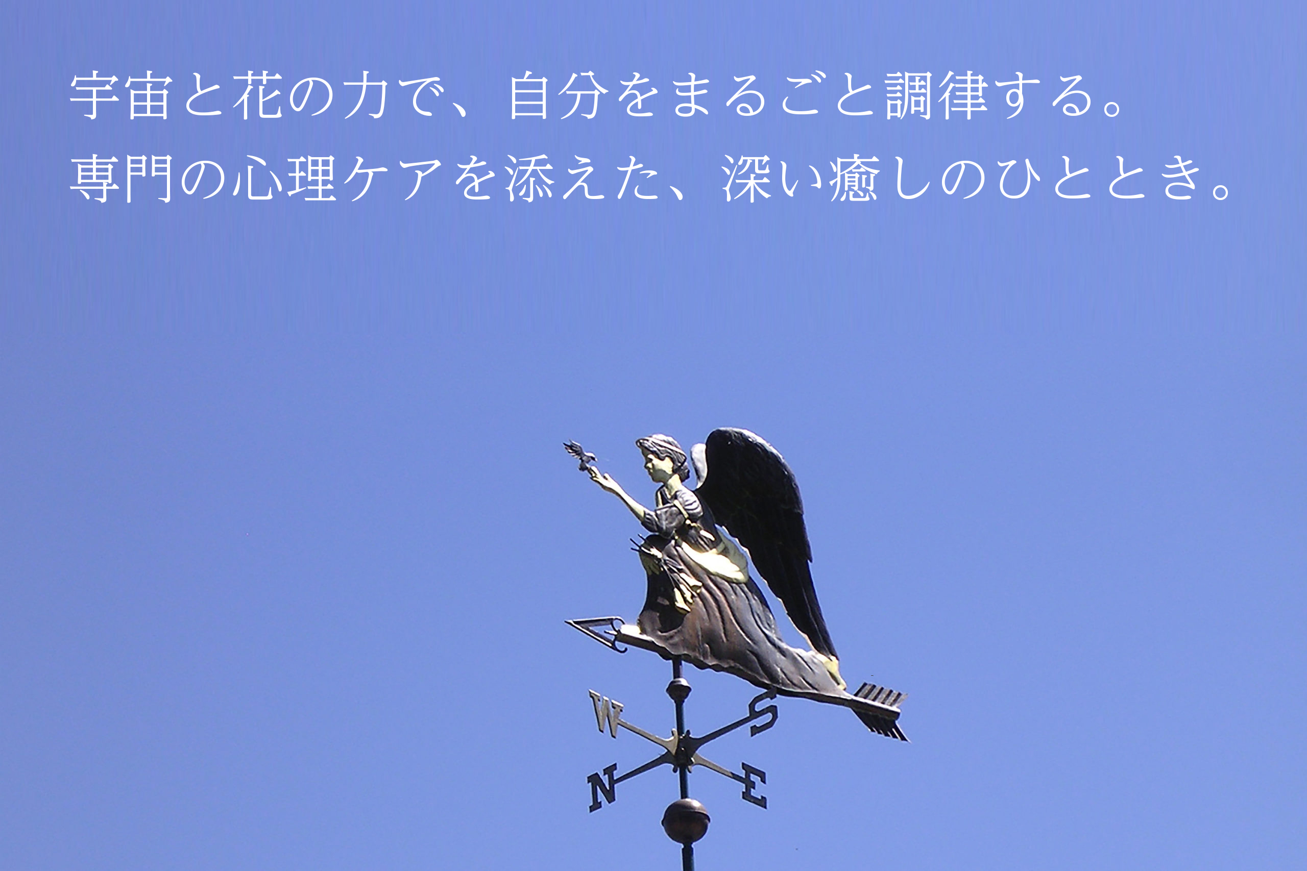 ホリスティック医学に基づいた、専門的療法を行っています