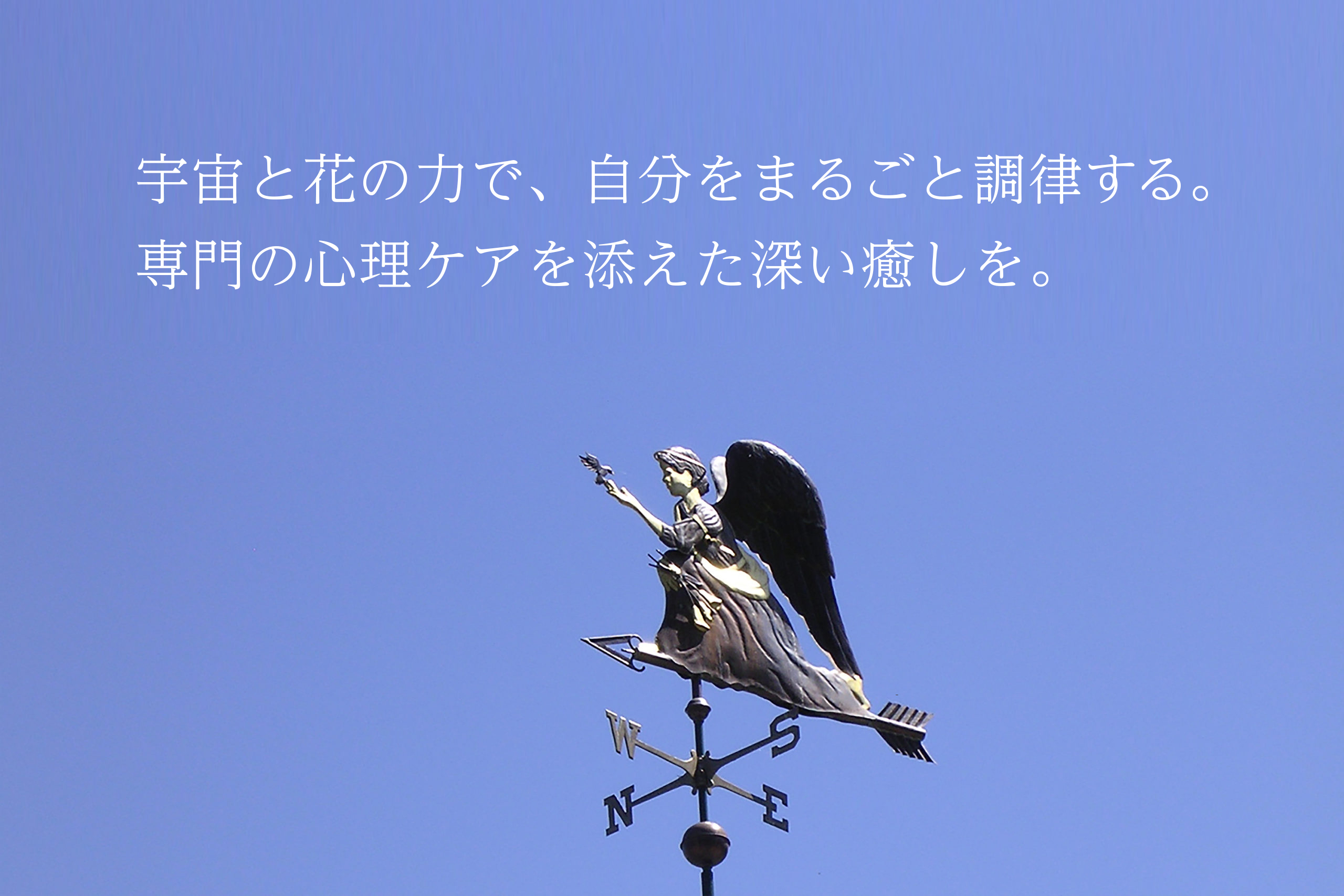 ホリスティック医学に基づいた、専門的療法を行っています